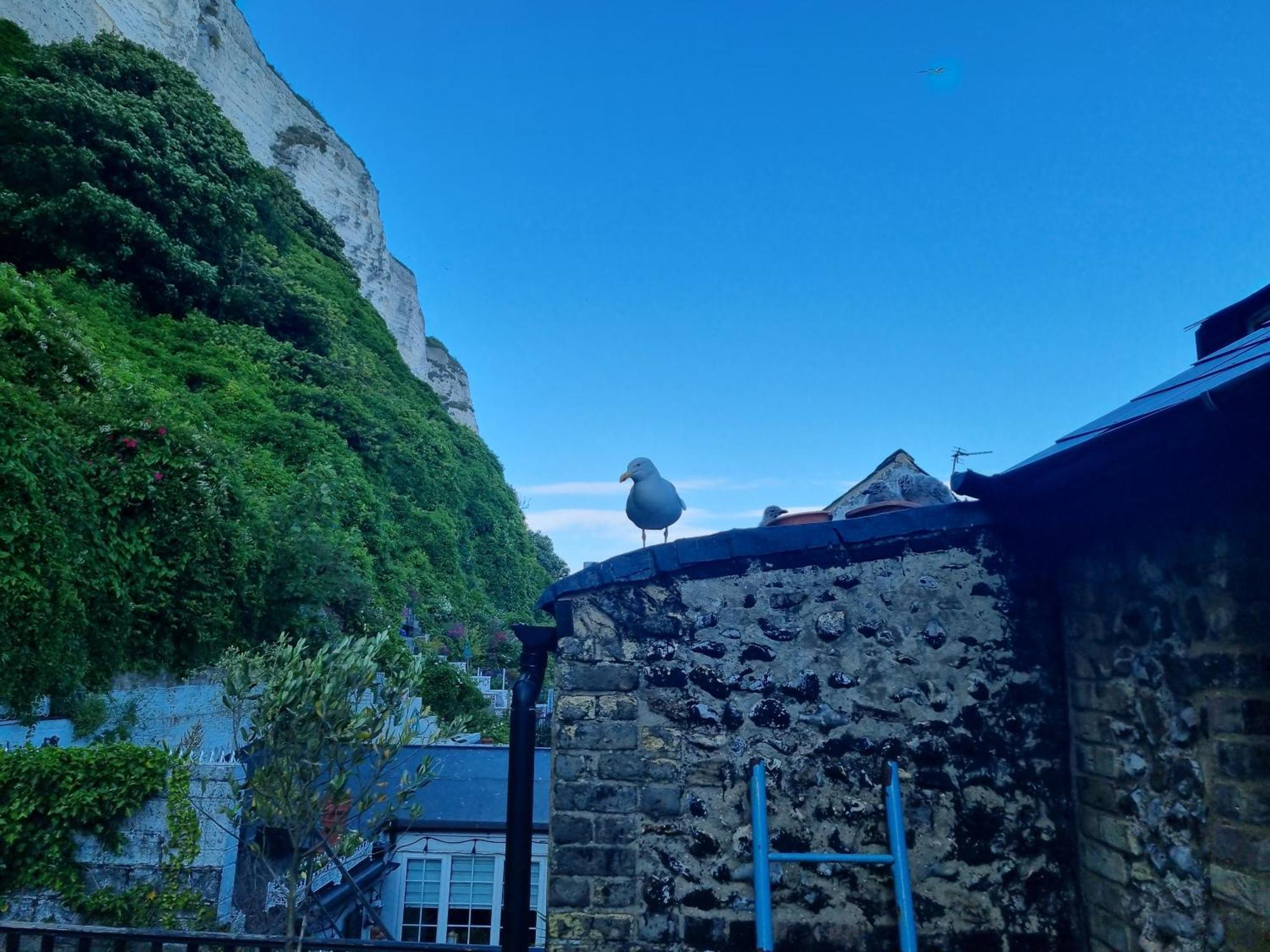 First And Last Youth Hostel 多佛尔 外观 照片